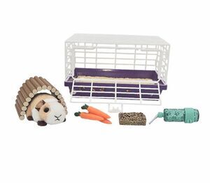 American Girl Courtney Guinea Pig Parsley Cage Accessories Set Lot